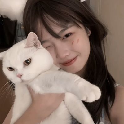 贝博app代言艾弗森